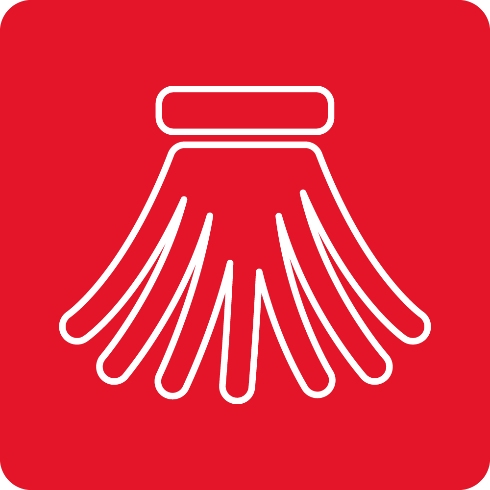 Cleaning brush